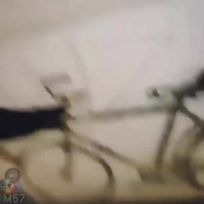 Ta pintada