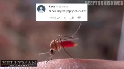 Her gün bir deep turkish web video serisi #19.Gün