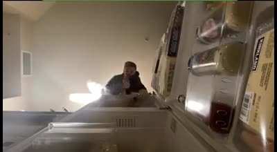 Chilling on the fridge
