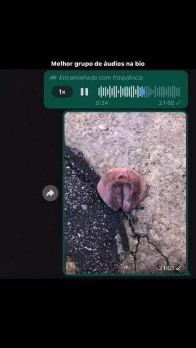 Perderam a periquita no bloquinho, é de algum membro do sub kkkkk