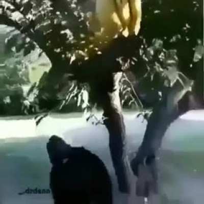 PORQUE ME GRITA?!?!