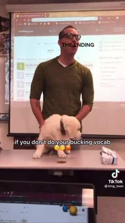bocav vowl