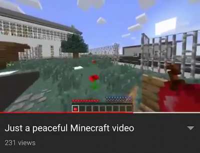 Bruh.mp4