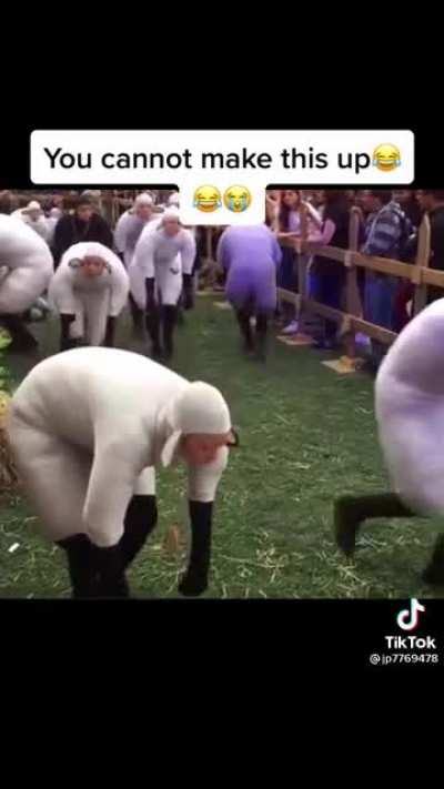 They took some LSD I think..