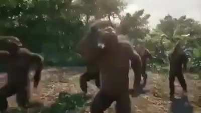Monke
