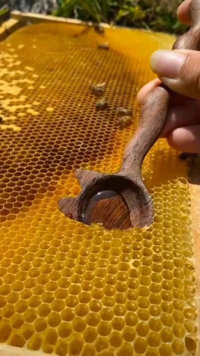 bee_irl spooned
