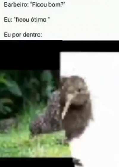 REAL