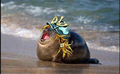 YAMEROOOOOOOO WRYYYYYYYYYYYYYYYYYY