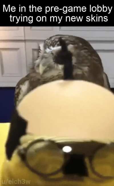 Fashioista Mr. Hoot Hoot