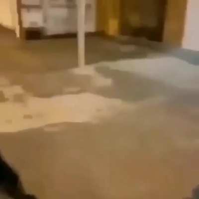 ayo