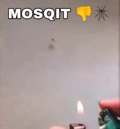 Mina🦟irl
