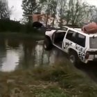 Dive like a dolphin