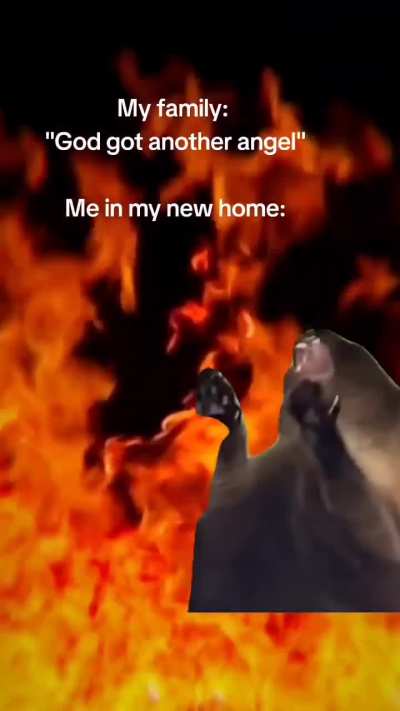 🔥 🔥 🔥 