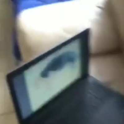 Pegou no flagra