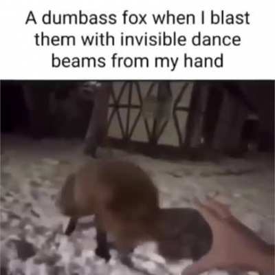 Fox rule