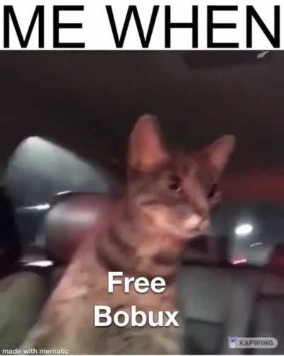 Bobux allways free
