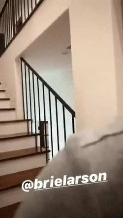 Brie Larson bouncing down the stairs