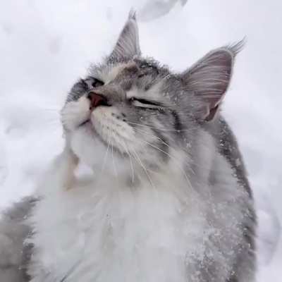 Немного зимы Вам в лето