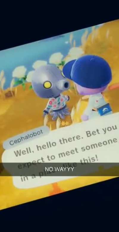 My first Animal Crossing villager hunt after months and I got em!
