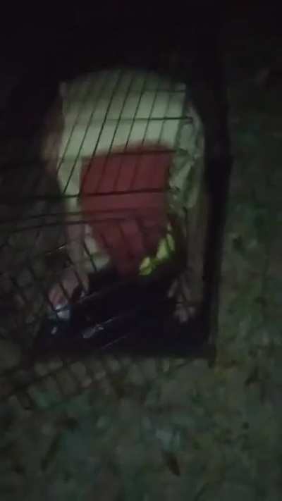 Jailed hotdog serving his sentence.