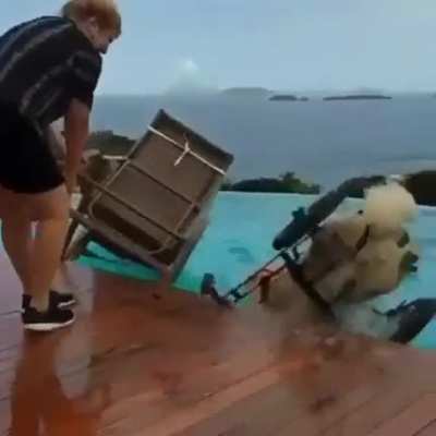 you protect the chair over the handicapped dog and I'll sit here and film
