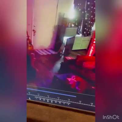 My cat figured out how to open the mini fridge :|