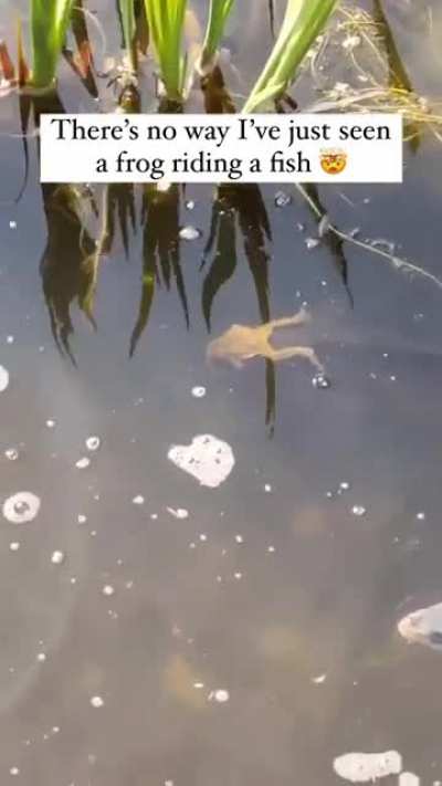 Underwater Uber