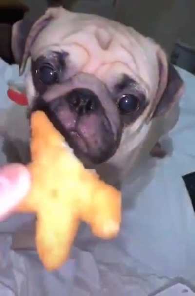 - Take a small bite.... Awwwww