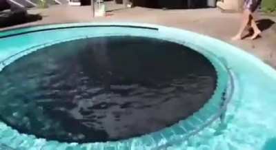 They thought this was a good idea