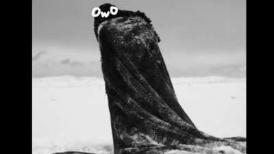 From my SCP-5998 video