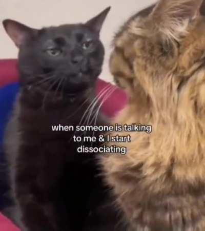 me_irl
