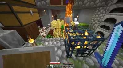 He's friendly!