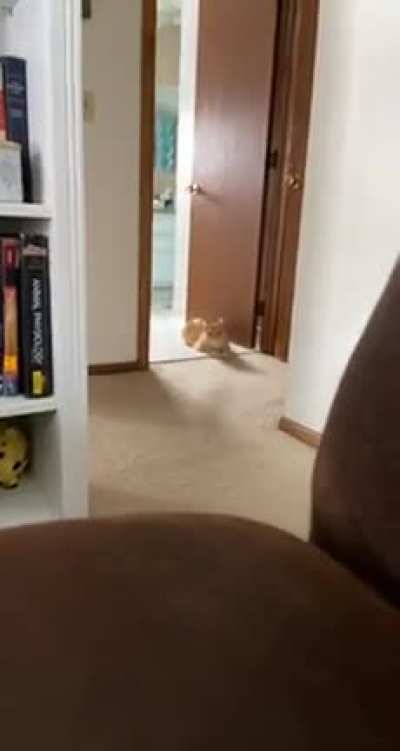 Jump scare