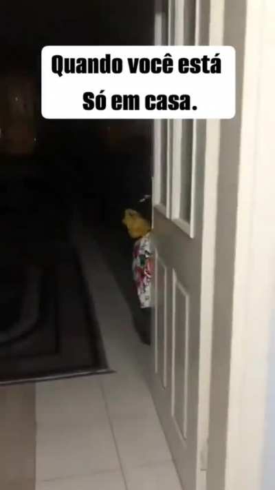 eu_nvr