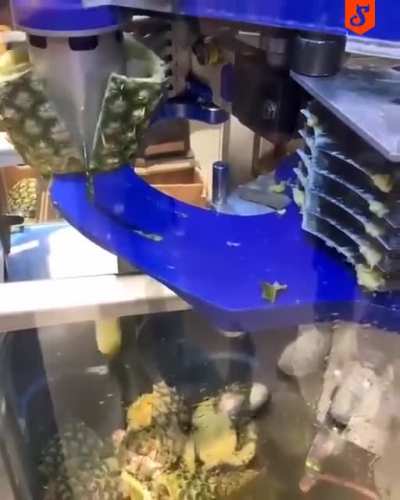 Pineapple slicing machine in Germany
