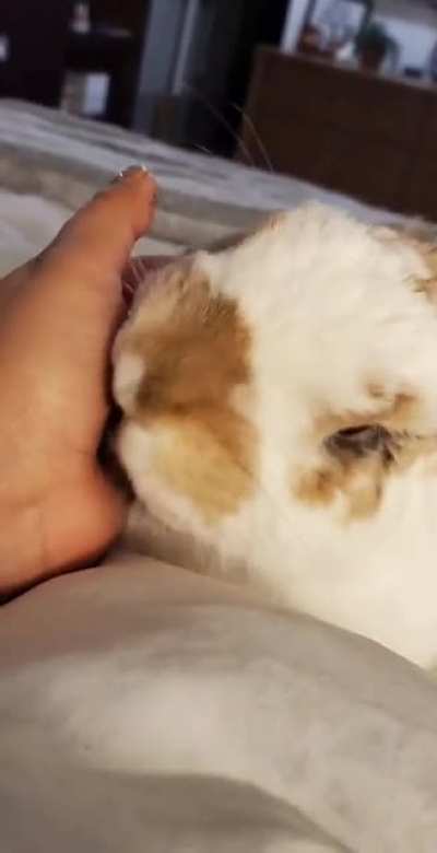 Kisses for days !