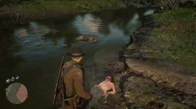 Gator’d