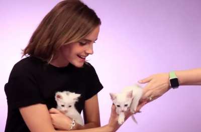 Playing with kittens, for Buzzfeed.