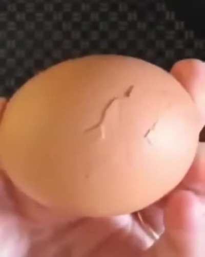 A weird egg was found