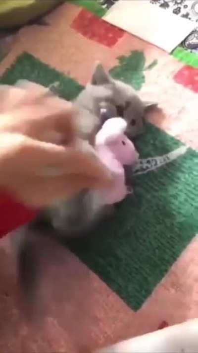 Can’t have it