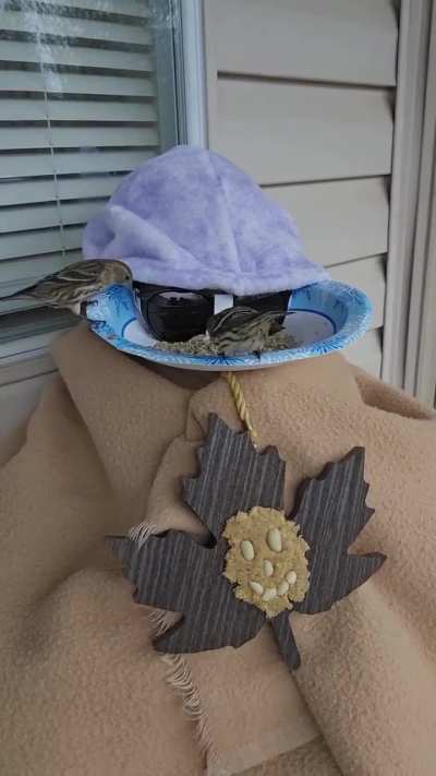 This is nextfuckinglevel bird watching