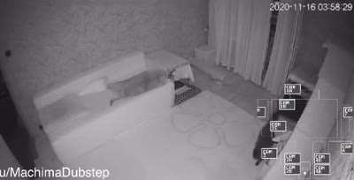Five nights at floppas