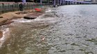 Brooklyn Bridge Beach is disgusting