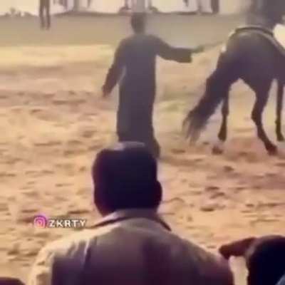 don't dance behind a competetive horse