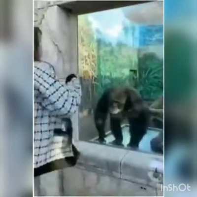 Acho que posso falar que é meu pq o vídeo original não tinha áudio 😑