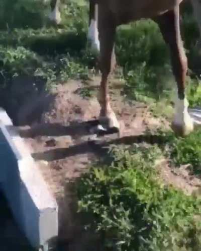Знакомство
