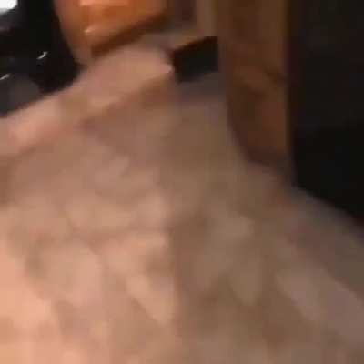 Jijiji