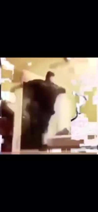 Fat kid be dancing