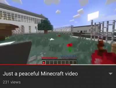 Bruh.mp4