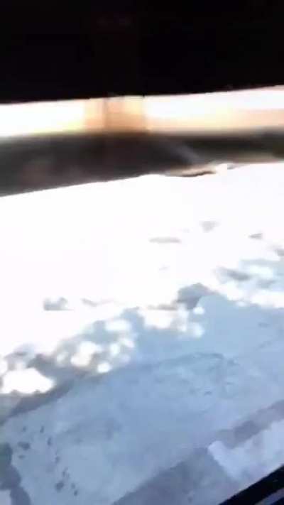 Natural selection